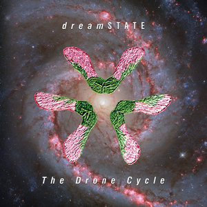The Drone Cycle cover