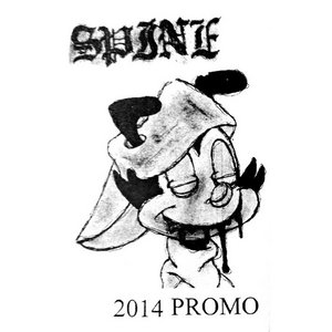 2014 PROMO cover