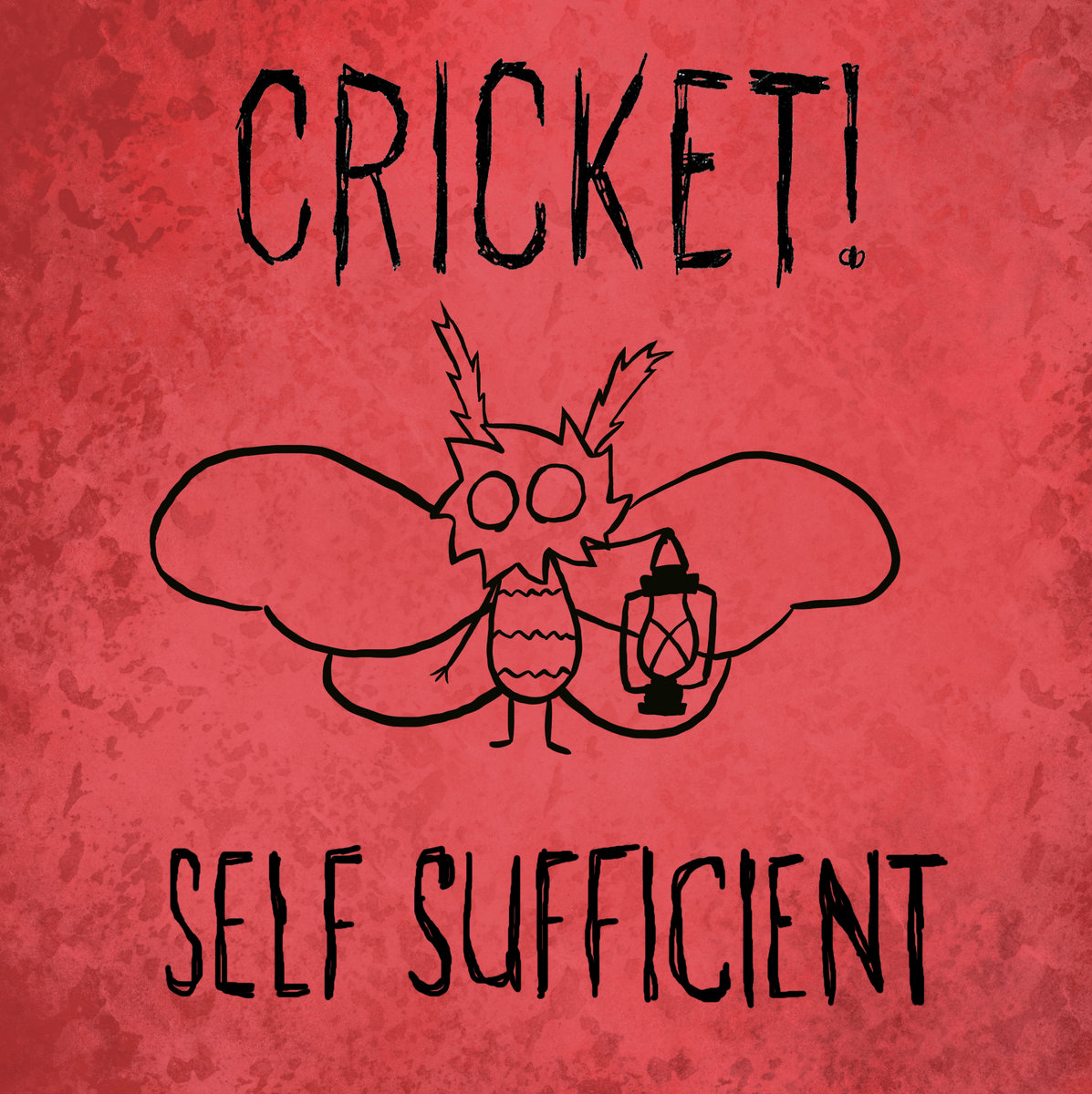 Self Sufficient Cricket Self sufficient cricket
