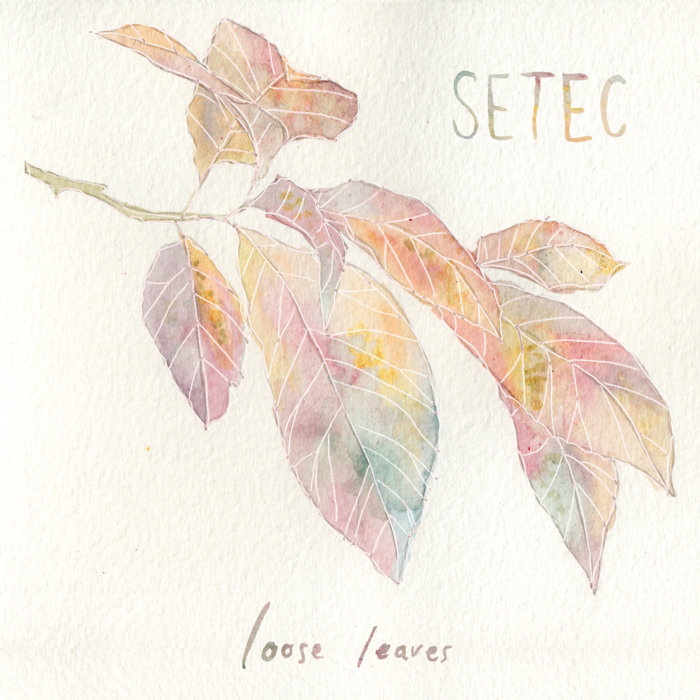 Loose Leaves | Setec