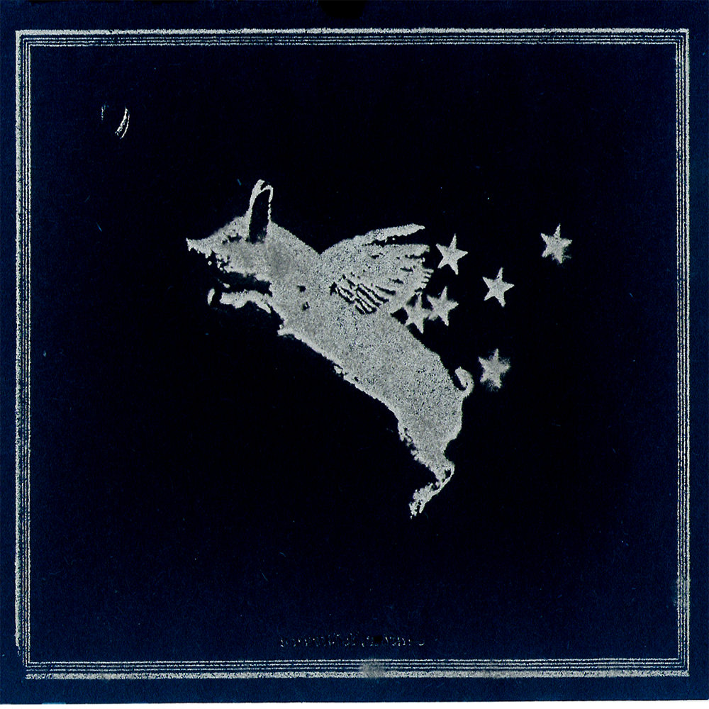 ad astra per alia porci pinkwing