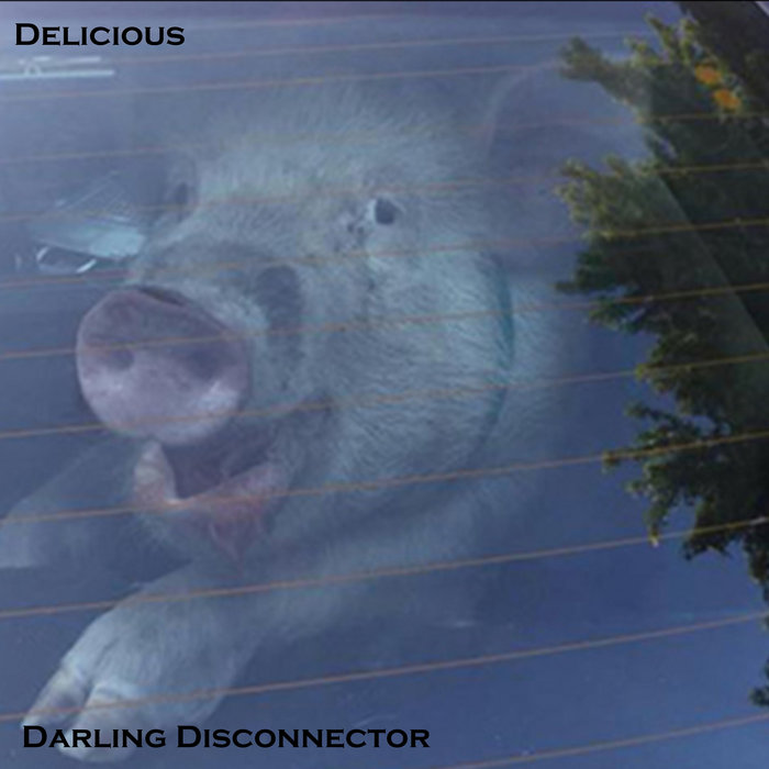 Delicious | Darling Disconnector