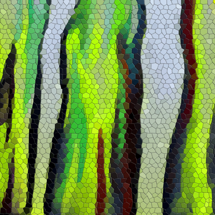 DIFFERENTIALS I | Lizard Sweets