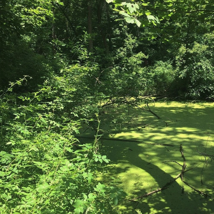 Backwhen Ep Backwhen