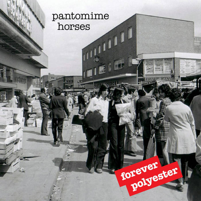 Pantomime Horses - Forever Polyester