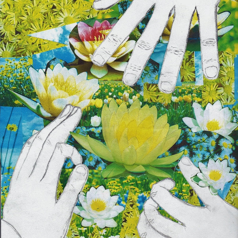 The Lotus Eaters | Someone