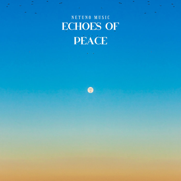 echoes of the eye echoes of the eye
