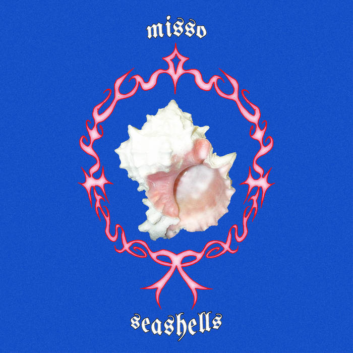 Seashells, by Misso