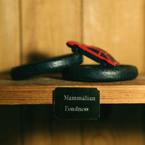 Mammalian Fondness cover art