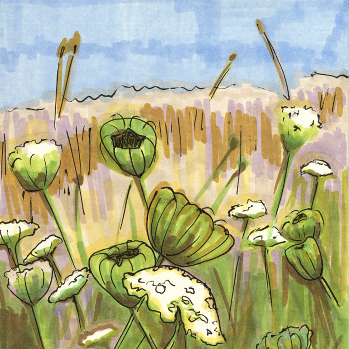 Years at the Unknown | The Crabs