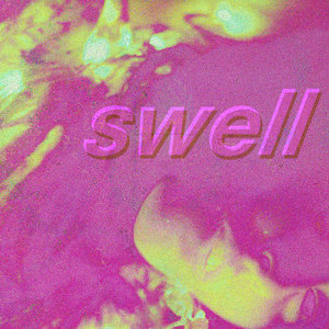 Animal Ghosts — Swell