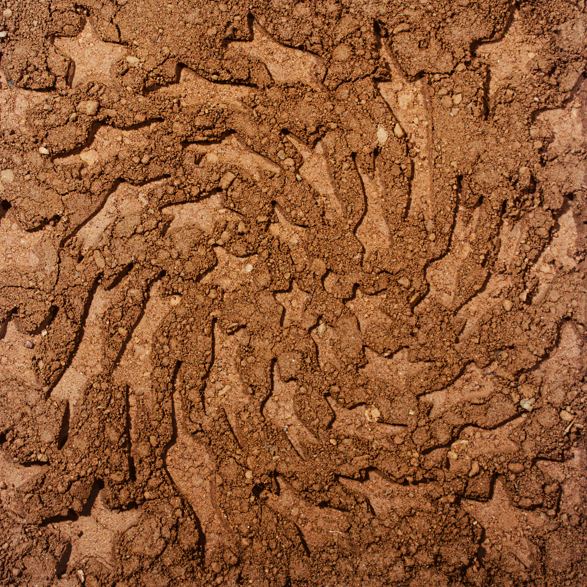 Unerthed: Hole Erth Unplugged | Toro y Moi