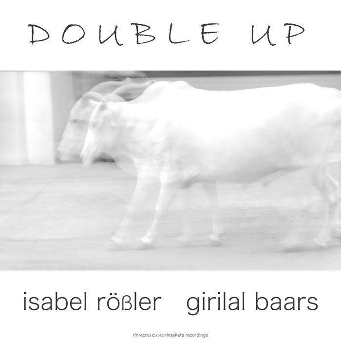 Double Up
by ISABEL RÖßLER / GIRILAL BAARS