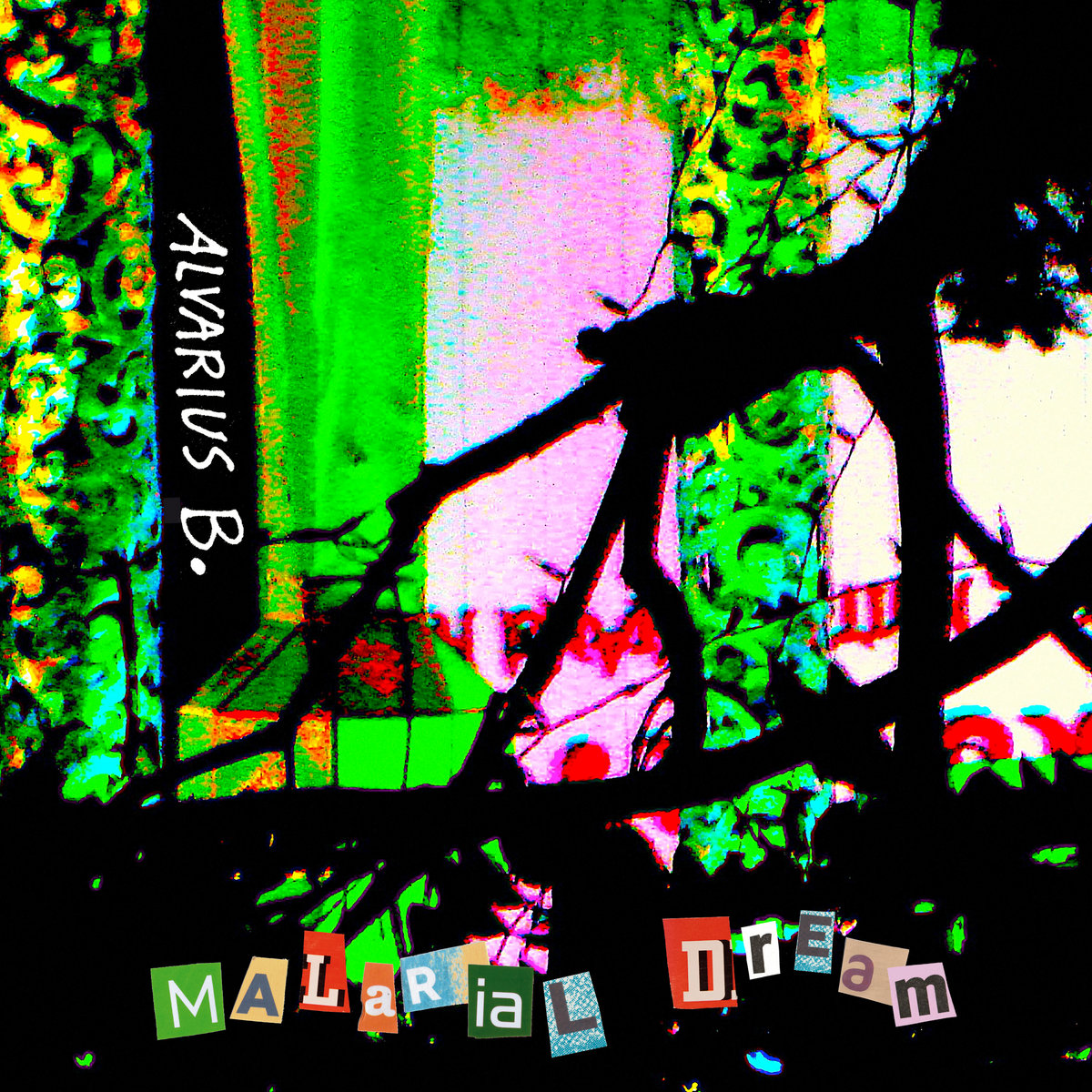 Malarial Dream