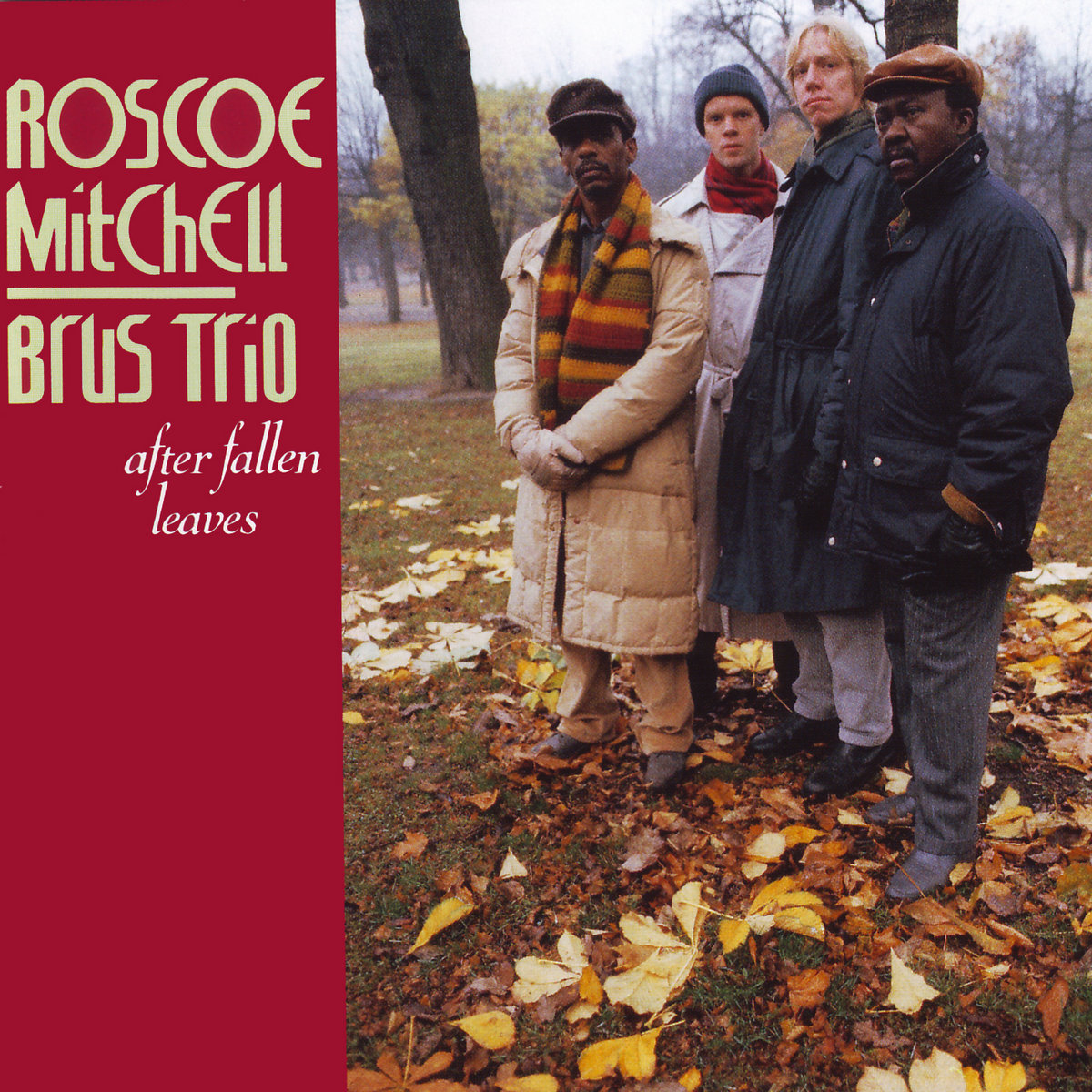 After Fallen Leaves | Roscoe Mitchell / Brus Trio