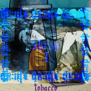 skräp cover