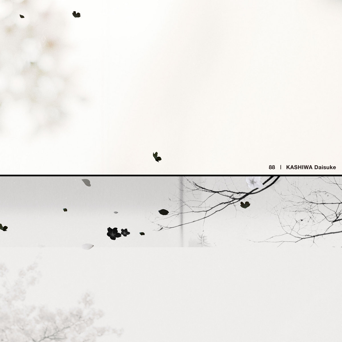88 | KASHIWA Daisuke | Virgin Babylon Records