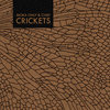 MOKA ONLY & CHIEF - Crickets Cover Art