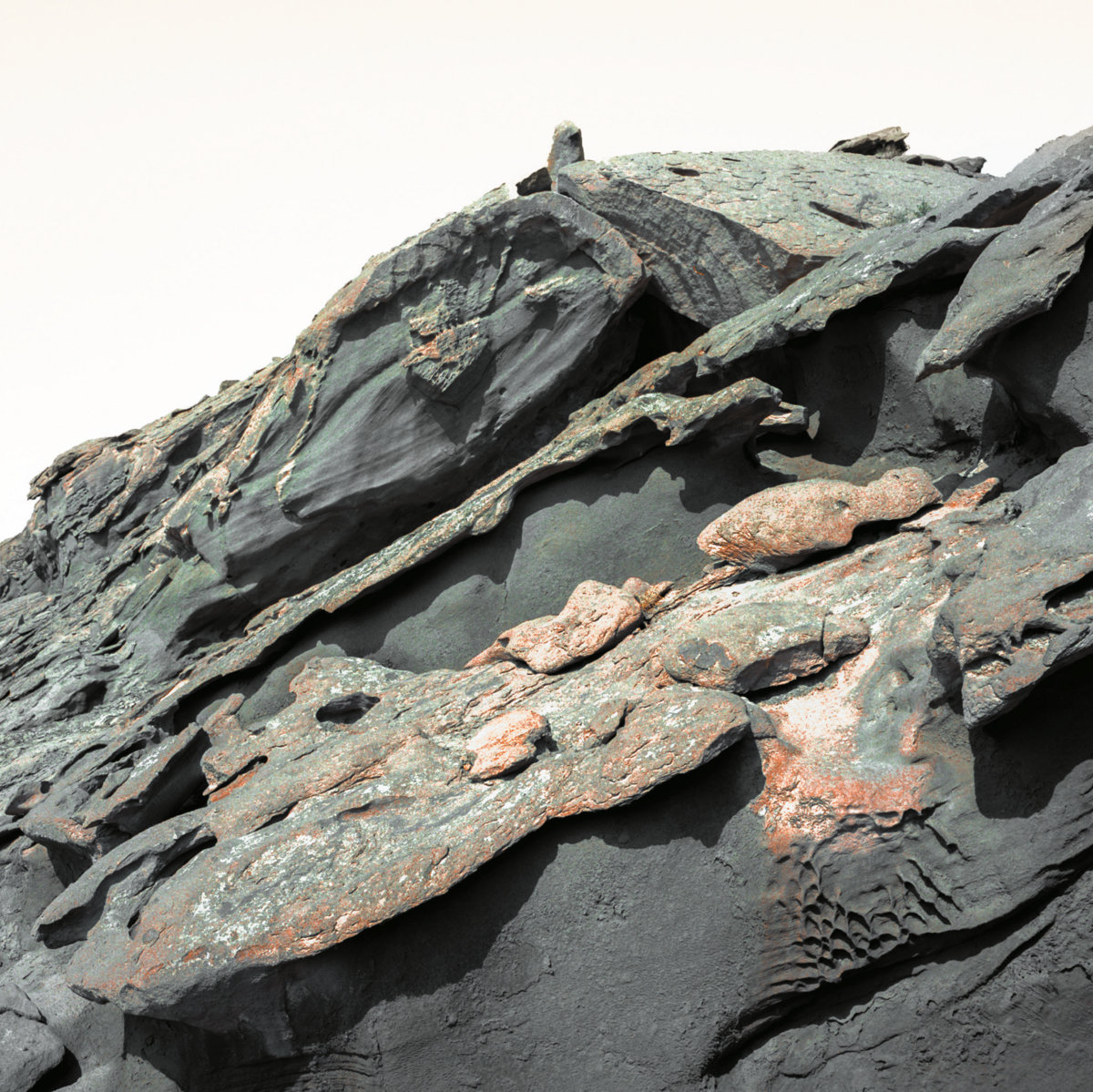 Surface Whispering Sons