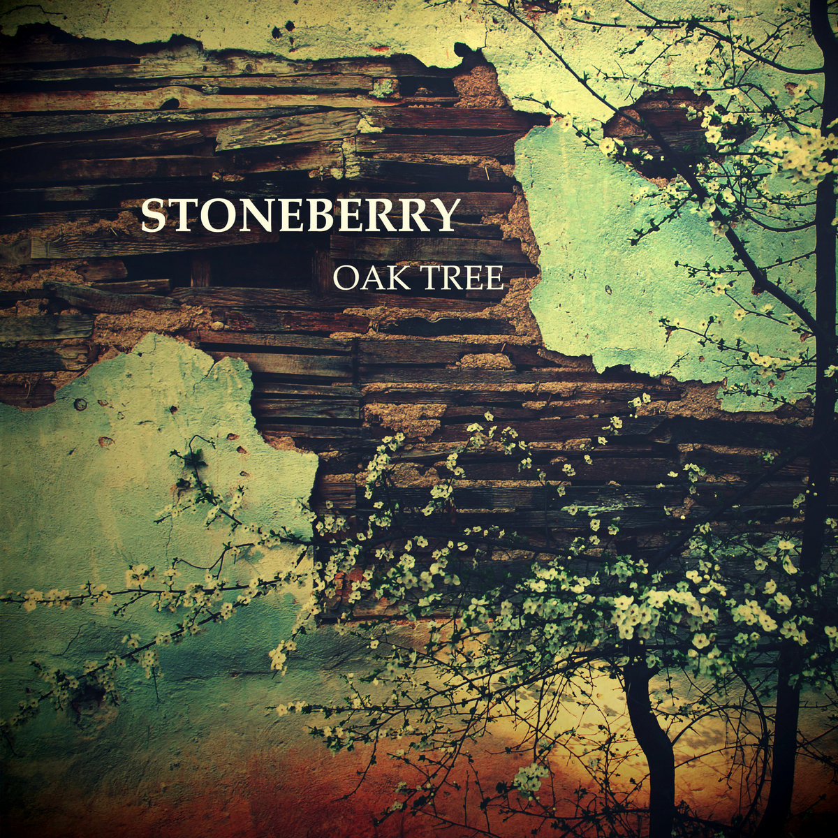 Oak Tree EP | Stoneberry