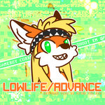 LOWLIFE / ADVANCE