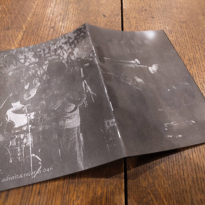 Live | Naoki Zushi | advaita records