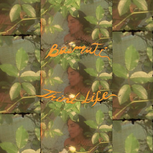 Third Life cover