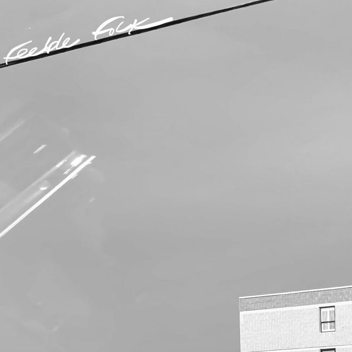 the house of Togarmah of the north quarters feeble folk