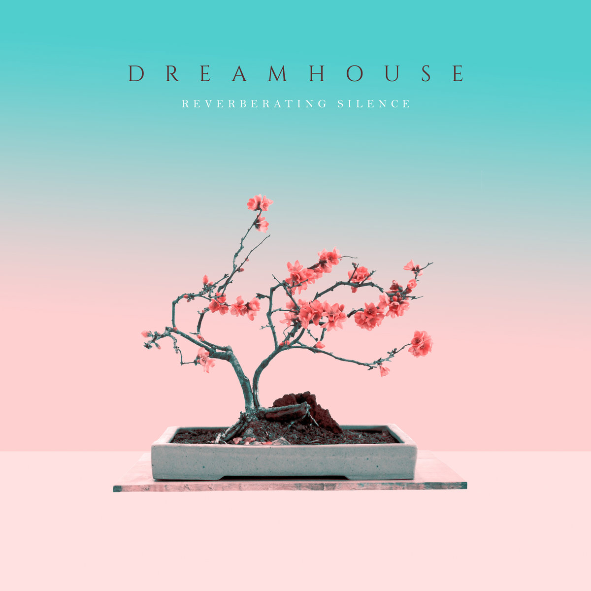 Reverberating Silence by Dreamhouse