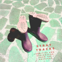 Stray Tracks - Oddities and Curiosities from the Archives cover art