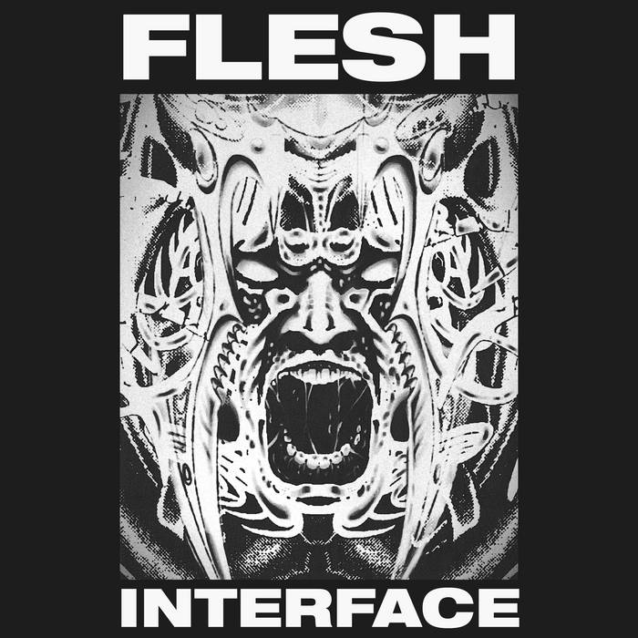 Flesh Interface | Scab Hag & 1 Body 6 Graves | Iron Fortress Records