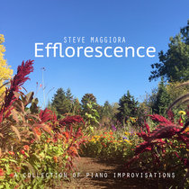 Efflorescence: A Collection of Piano Improvisations cover art