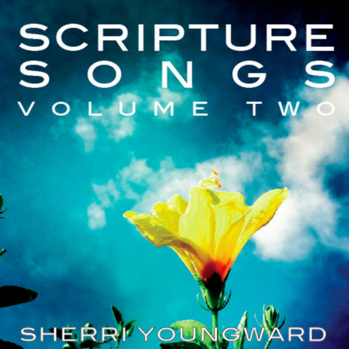Scripture Songd Scripture Songs Volume Two | Sherri Youngward