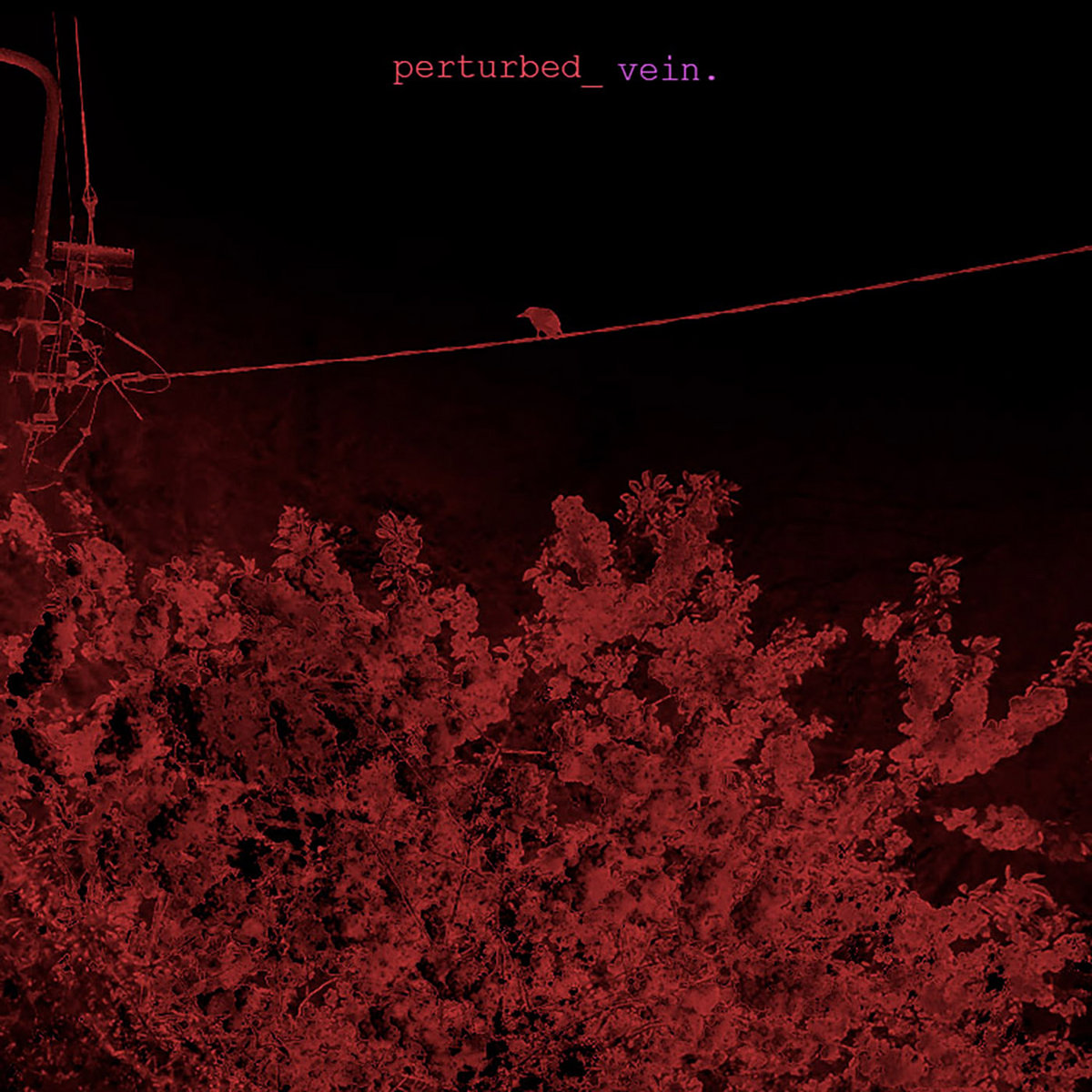 vein. cover