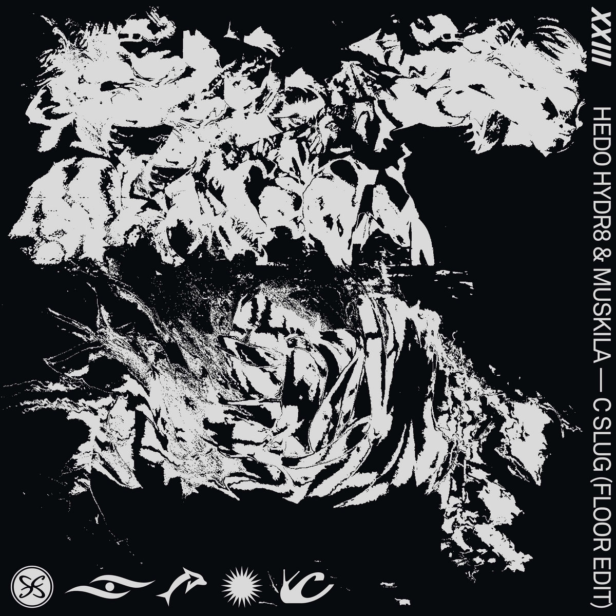 XXIII // VOLUME 13 | XXIII