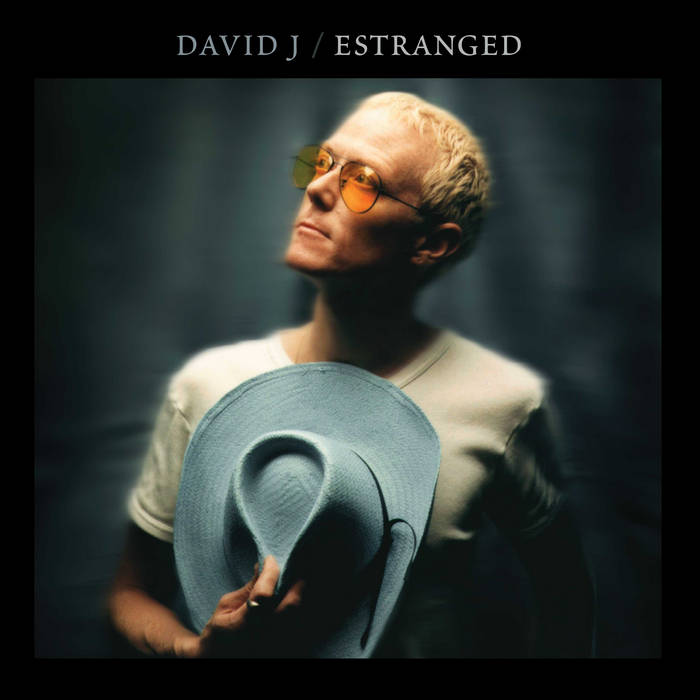 Estranged | David J