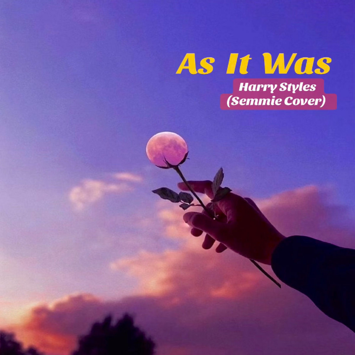 As It Was (Harry Styles Cover)