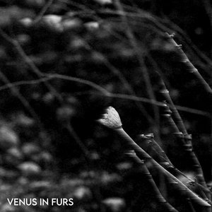 Venus In Furs cover