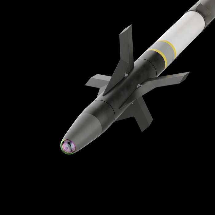 Continuous Rod Rib Cage | Veiled God | Nordstaat