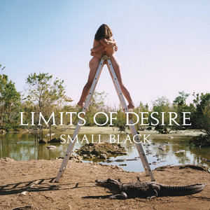 Limits of Desire (Deluxe Edition) cover