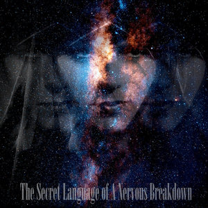 The Secret Language of A...... cover