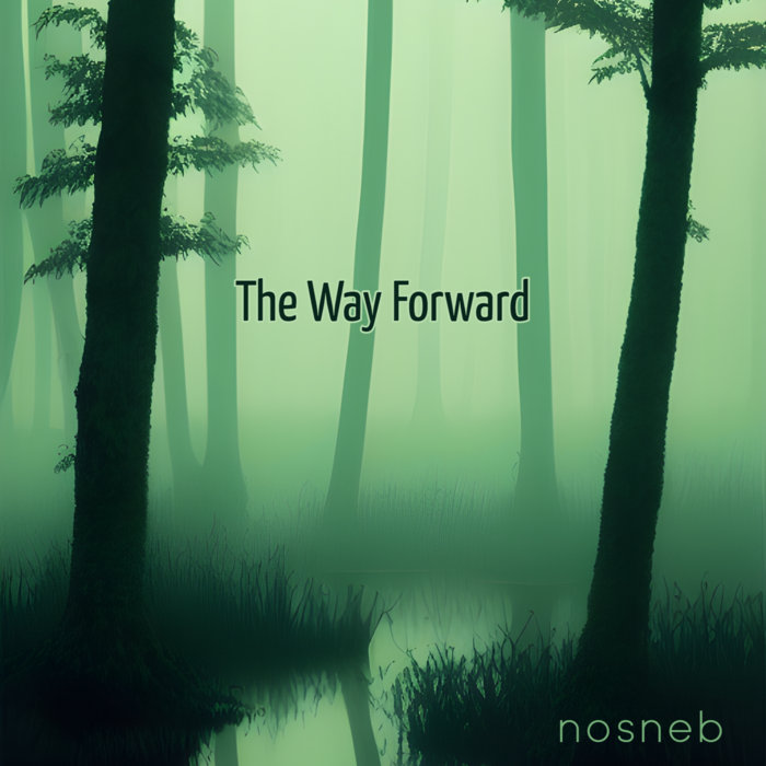 The Way Forward | nosneb