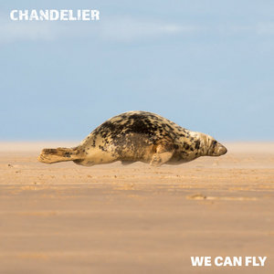 We Can Fly (48kHz 24bit) cover