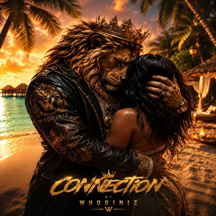 Connection — Deep Retrospection (Album) artwork