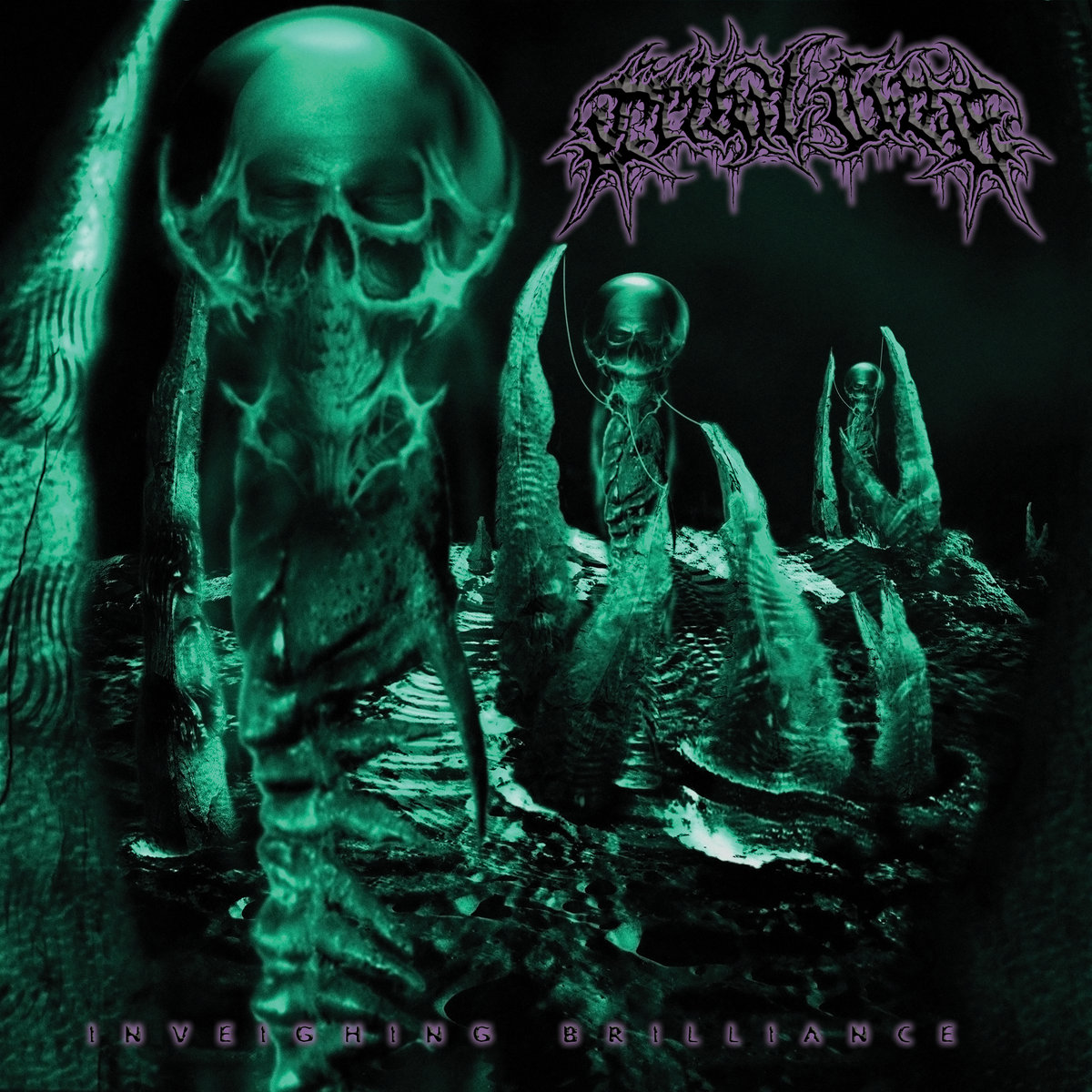 Inveighing Brilliance Tribal Gaze