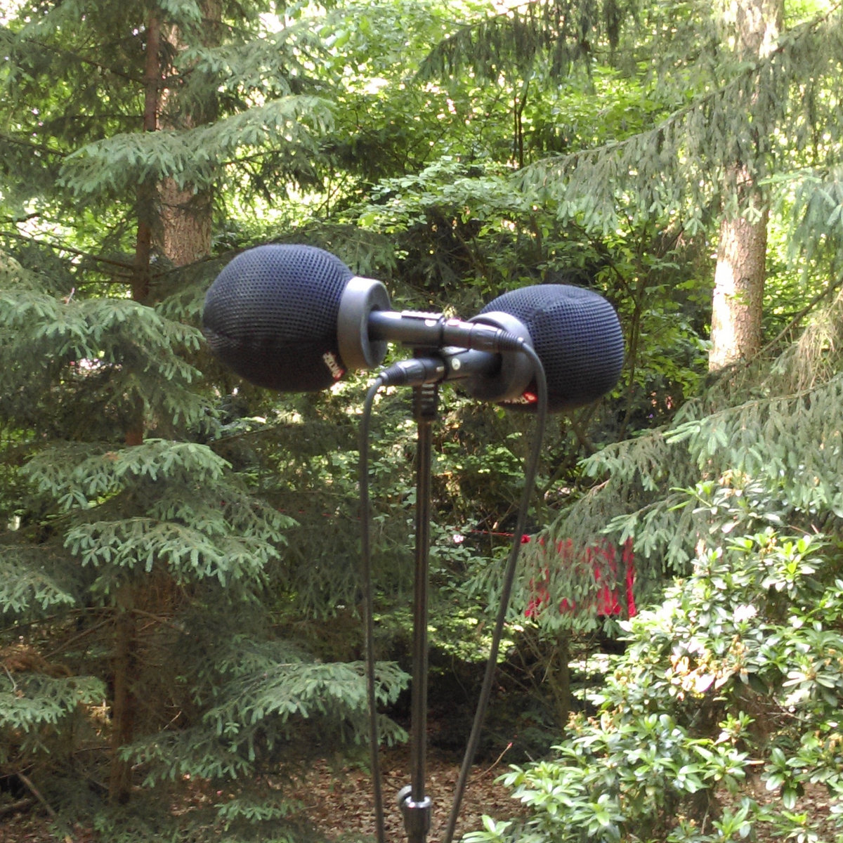 Daybreak 2 My3B Sounds To Continue