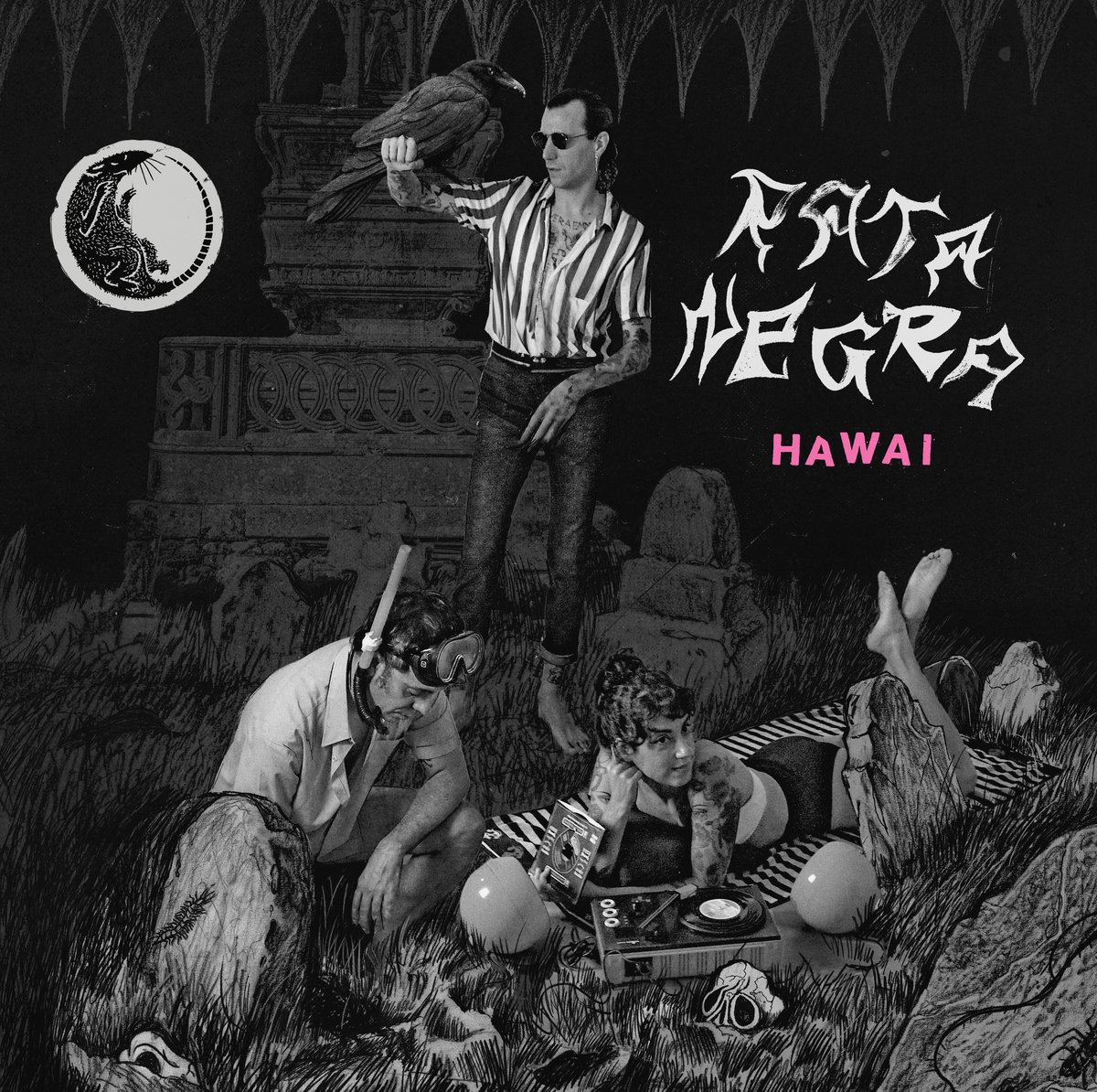 HAWAI | Rata Negra, image size:1200x1194