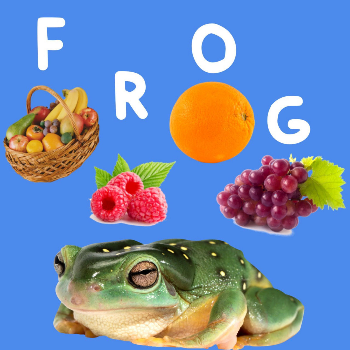 F.R.O.G. Music Production 20222023