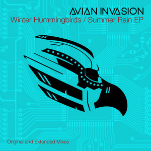 Winter Hummingbirds / Summer Rain cover