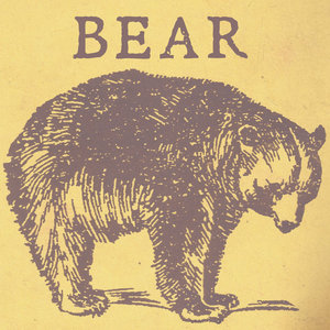 Bear cover